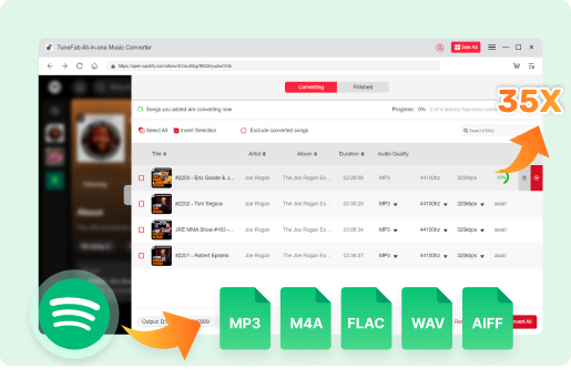 perçu Rapide sur TuneFab