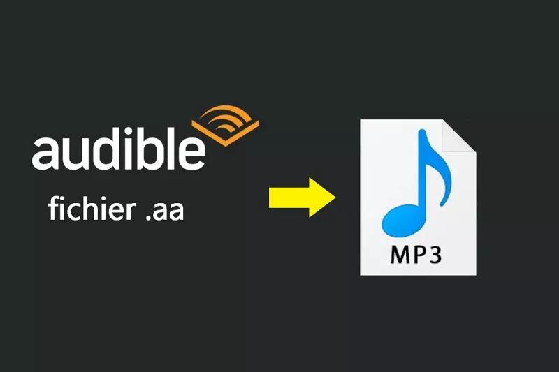 convertir-aa-en-mp3