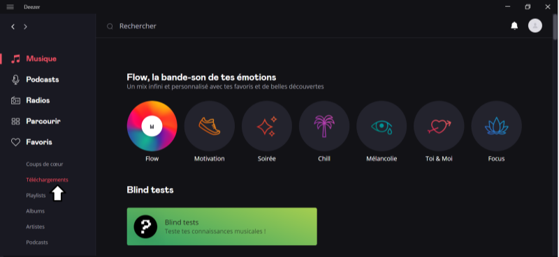 Consultez les téléchargements de musique sur Deezer